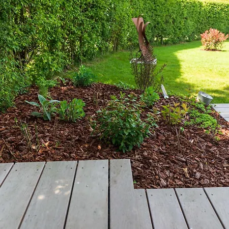 Tiny House Avec Vue Sur Les Etoiles