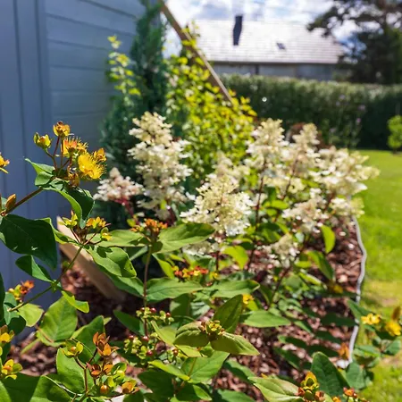 Σπίτι διακοπών Tiny House Avec Vue Sur Les Etoiles *